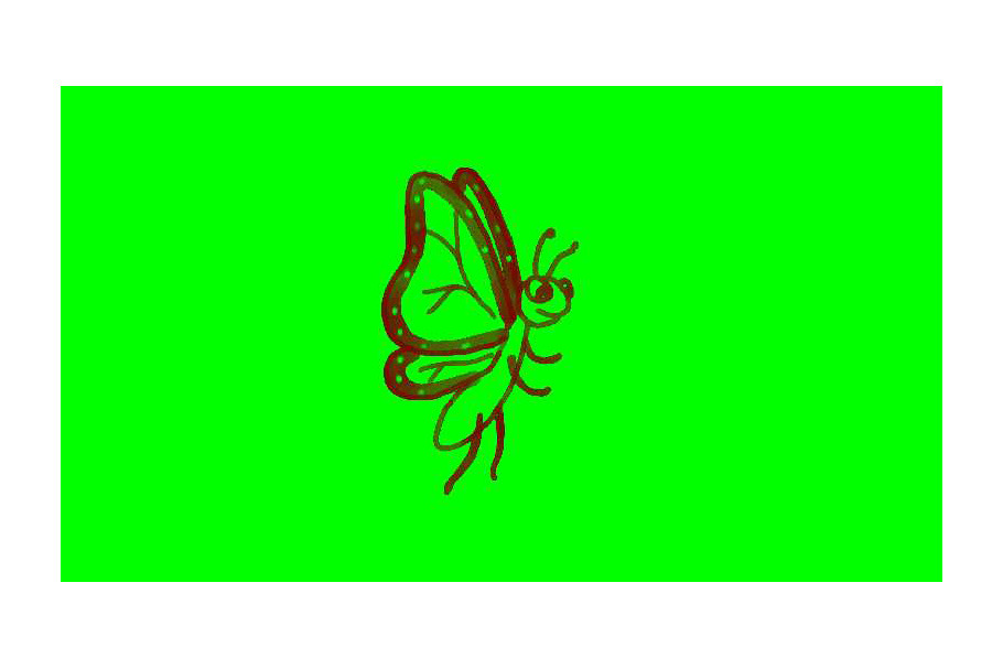 Animation Cartoon Monarch Butterfly