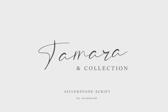 Silverstone Calligraphy Font in Script Fonts - product preview 2