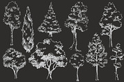 12 Vector Sketch Trees
