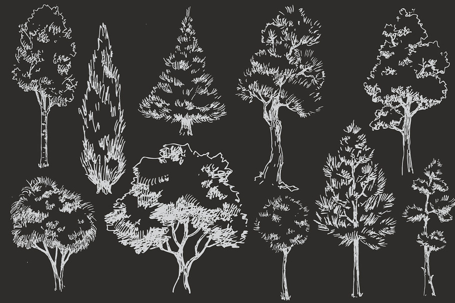 12 Vector Sketch Trees in Objects - product preview 8