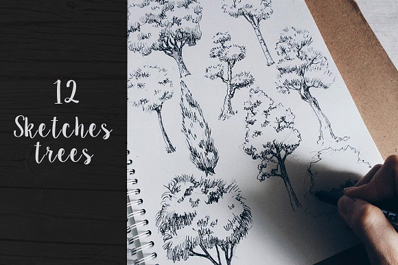 12 Vector Sketch Trees in Objects - product preview 1