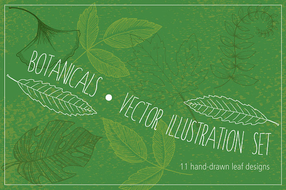 Botanical Leaves Hand-Drawn Vectors in Objects - product preview 1