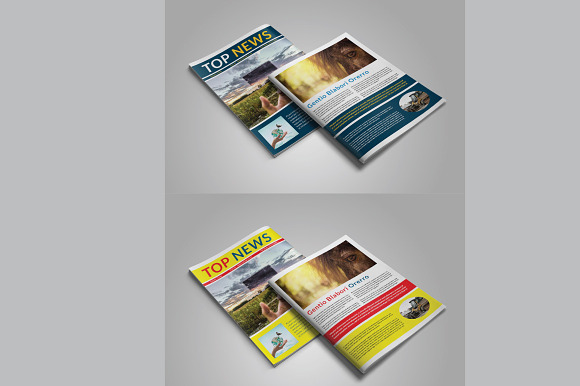 Indesign Newsletter Template in Magazine Templates - product preview 3
