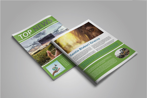 Indesign Newsletter Template in Magazine Templates - product preview 4
