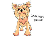 Vector Yorkshire terrier dog