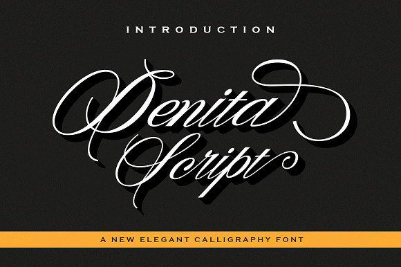 Denita Script in Script Fonts - product preview 6