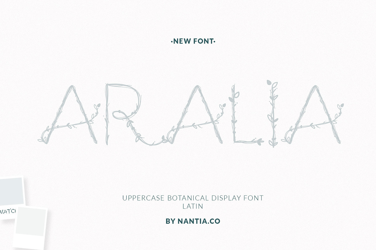 Aralia Botanical Uppercase Font in Display Fonts - product preview 8