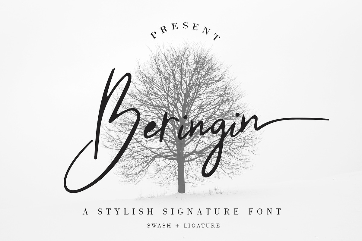 Beringin Stylish Signature Font in Script Fonts - product preview 8