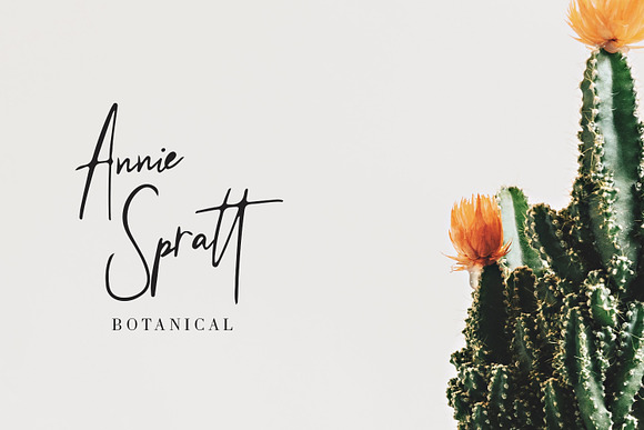 Beringin Stylish Signature Font in Script Fonts - product preview 2