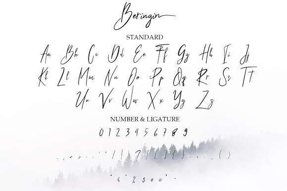 Beringin Stylish Signature Font in Script Fonts - product preview 5