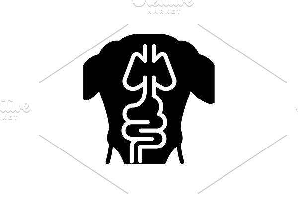Anatomy body icon