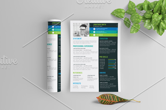 The Resume in Resume Templates - product preview 1