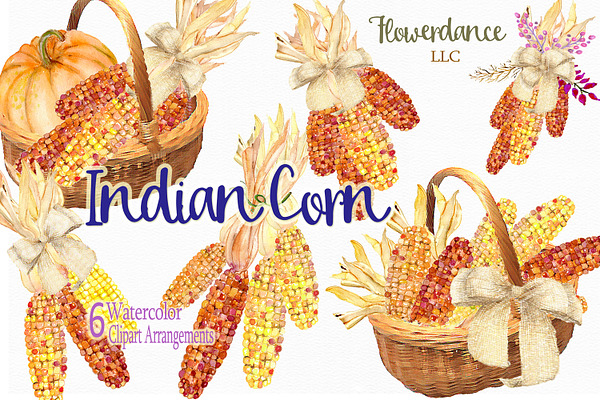 Indian Corn Watercolor Clipart