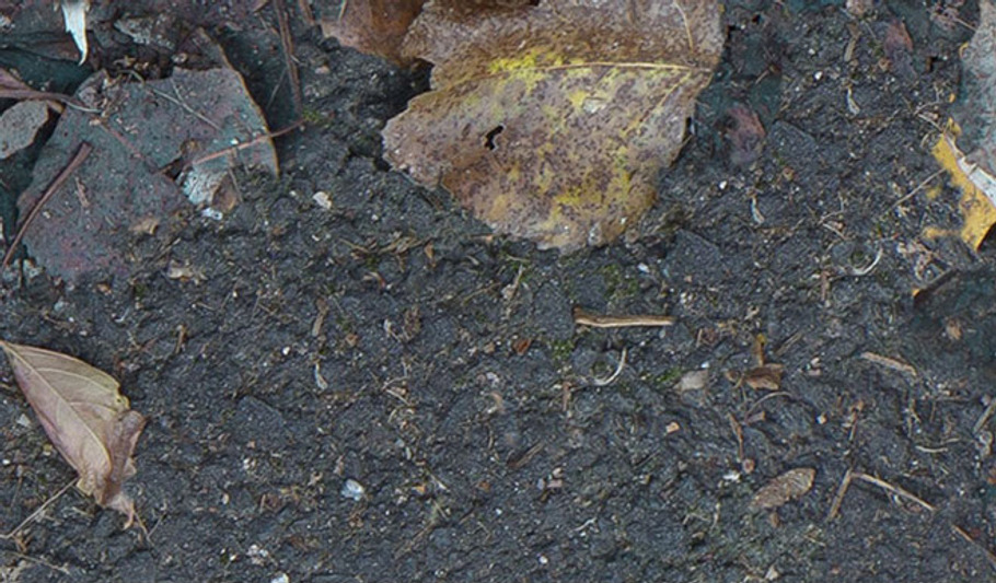 High Res - Road with Leaves 1 in Textures & Materials - product preview 1