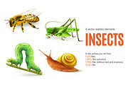 Insects Realistic Set