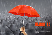 Umbrella Realistic Set