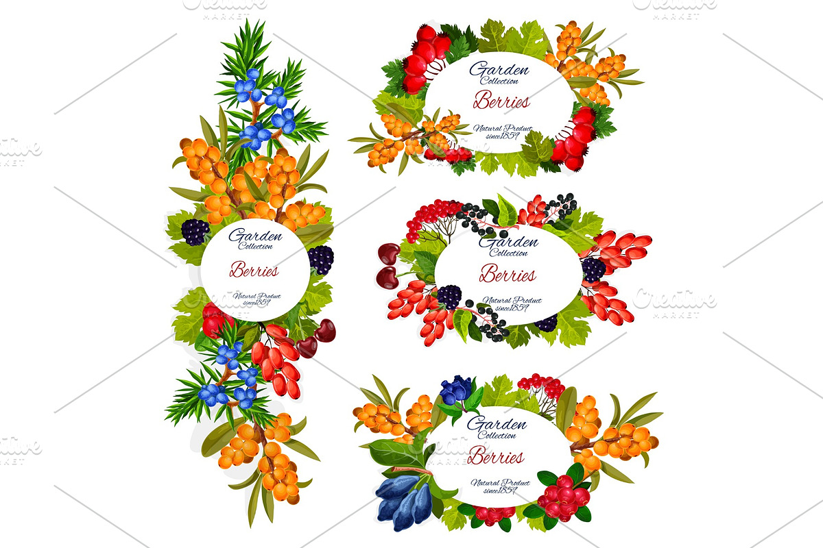 Berries colorful banners in Illustrations - product preview 8