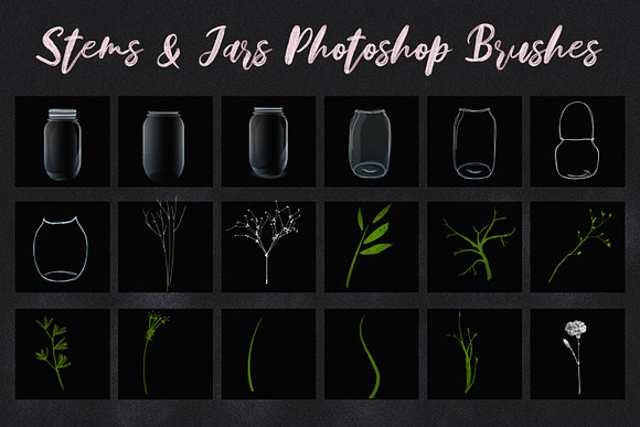 100 Babys Breath Design Kit in Photoshop Brushes - product preview 3