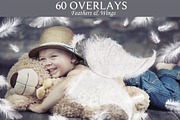 60 Feathers & Wings Overlays