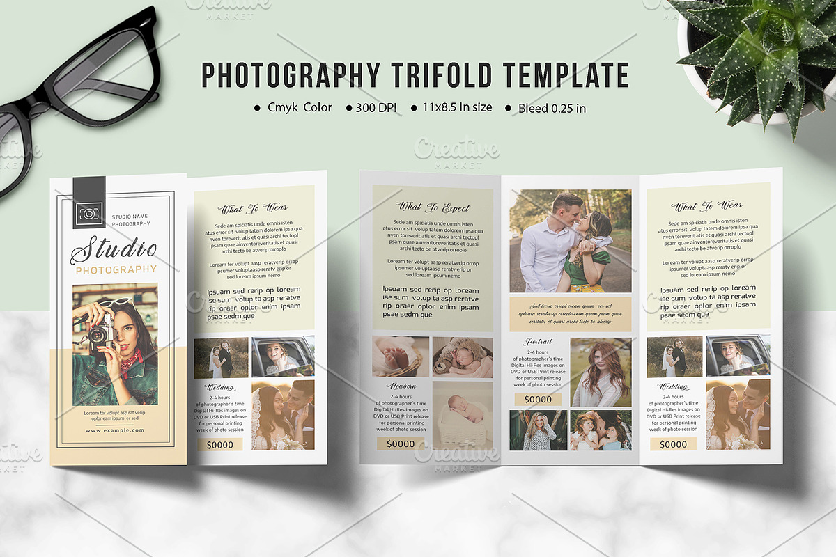 Trifold Photography Brochure - V920 in Brochure Templates - product preview 8