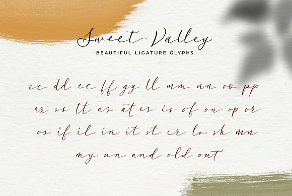 Sweet Valley Script + Extras in Script Fonts - product preview 12