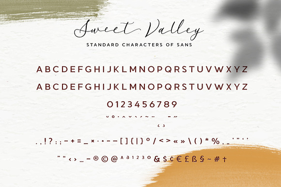 Sweet Valley Script + Extras in Script Fonts - product preview 14