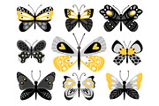 Butterflies vector color
