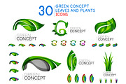 Set of green leaves, plant branding
