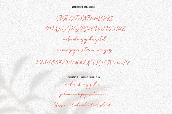 Old Bridges - Vintage Signature Font in Script Fonts - product preview 11