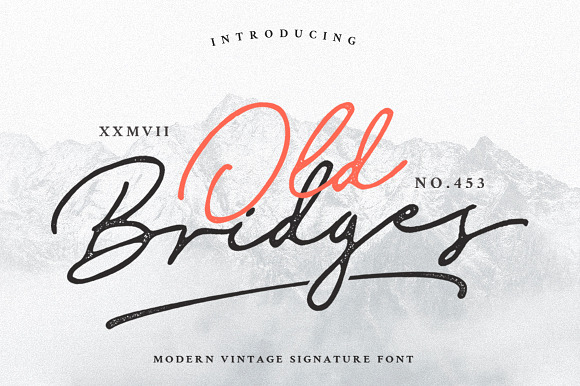 Old Bridges - Vintage Signature Font in Script Fonts - product preview 12