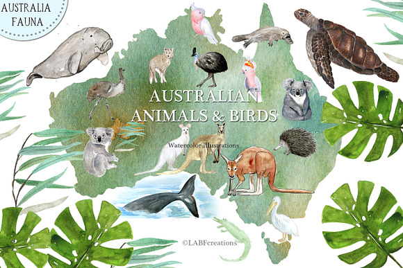 -25% off Australia. Map creator in Illustrations - product preview 3