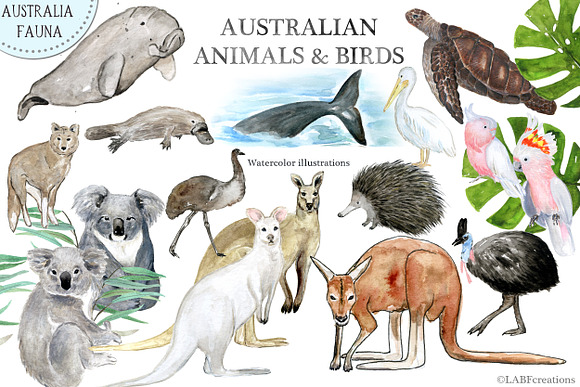 -25% off Australia. Map creator in Illustrations - product preview 11