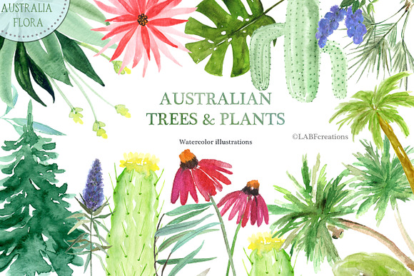 -25% off Australia. Map creator in Illustrations - product preview 13