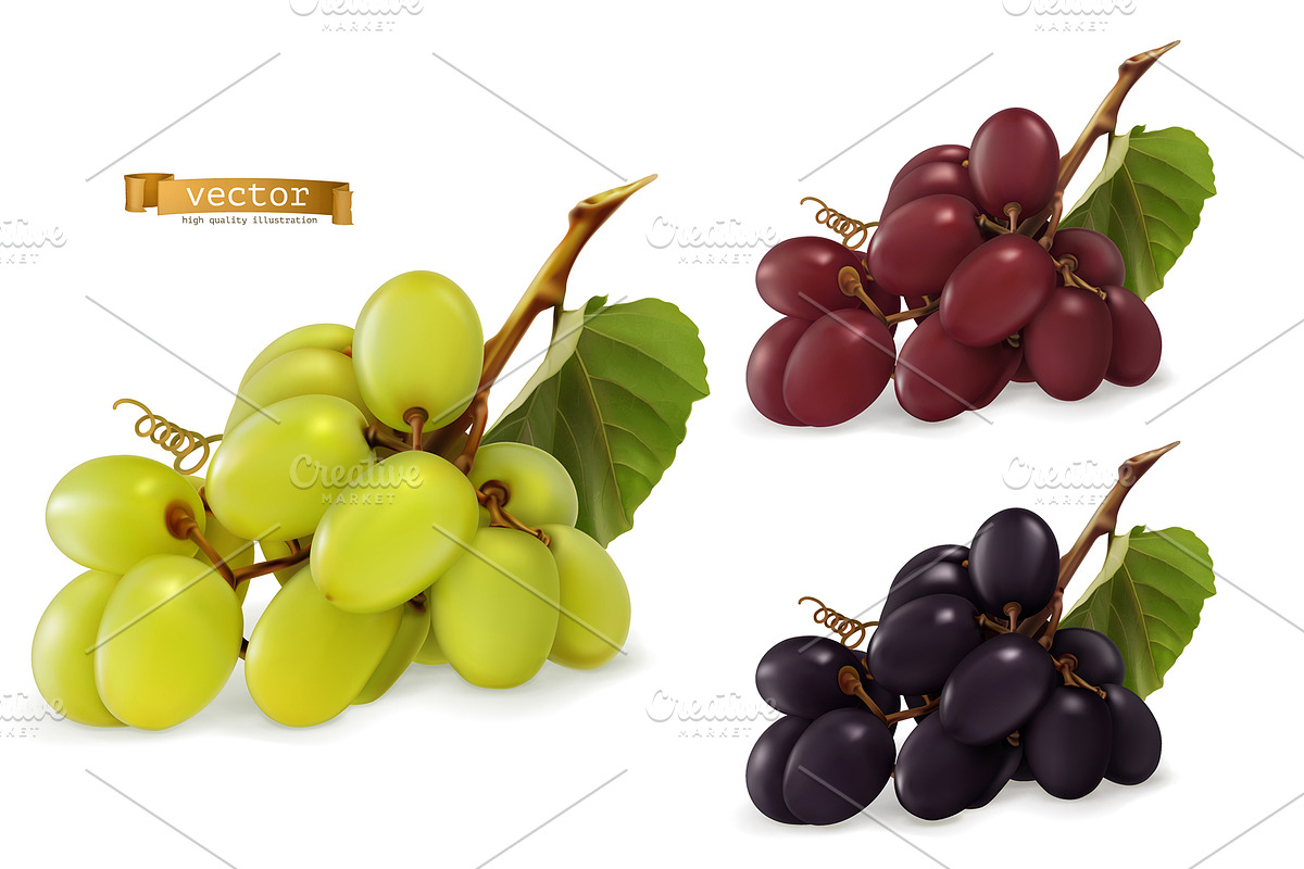 Dessert grapes for wine, vector set in Icons - product preview 8