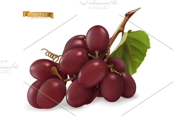 Dessert grapes for wine, vector set in Icons - product preview 1