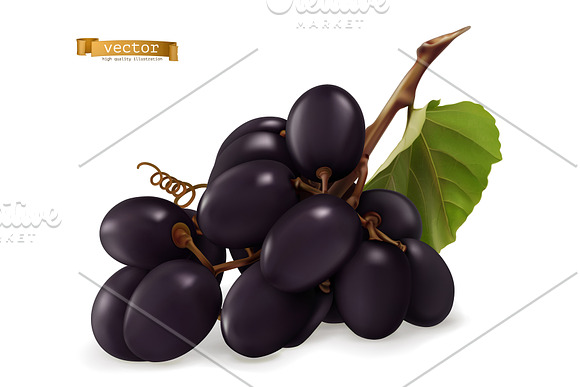 Dessert grapes for wine, vector set in Icons - product preview 2