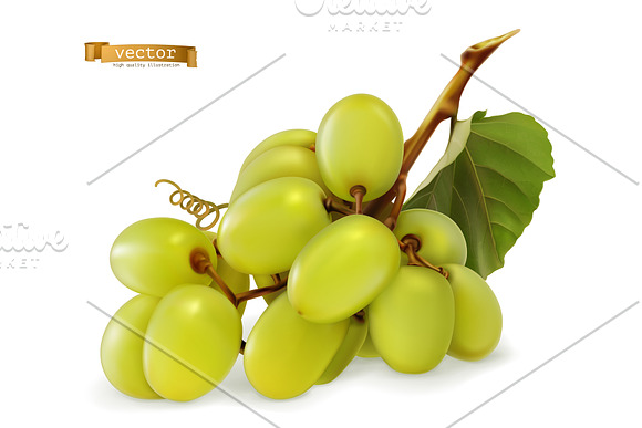 Dessert grapes for wine, vector set in Icons - product preview 3
