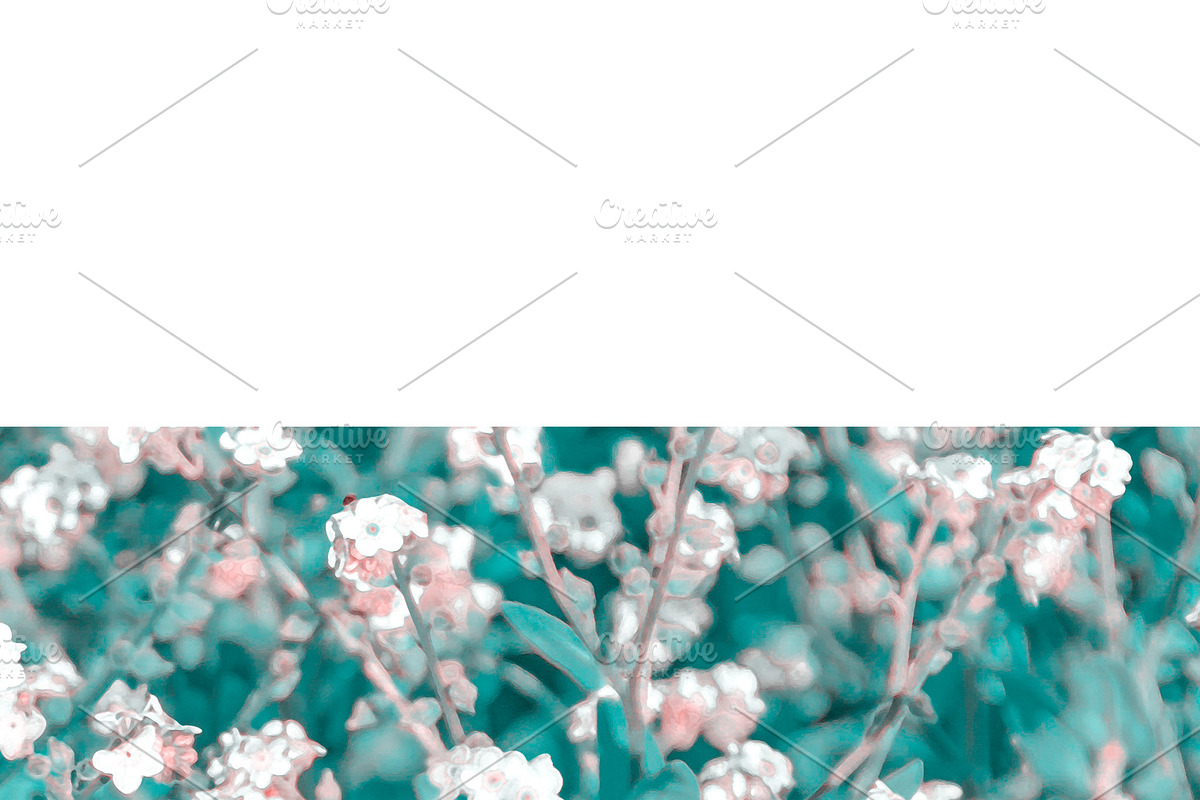 Stationery Background with Floral Ph in Illustrations - product preview 8