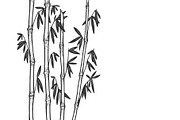 Bamboo plant sketch vector