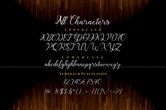 Havina Font in Script Fonts - product preview 8