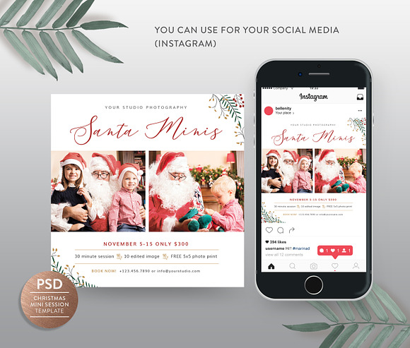 Santa/ Christmas Mini Session in Flyer Templates - product preview 1