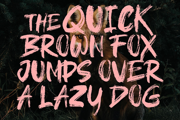 Brushield | Handwritten brush font in Blackletter Fonts - product preview 1