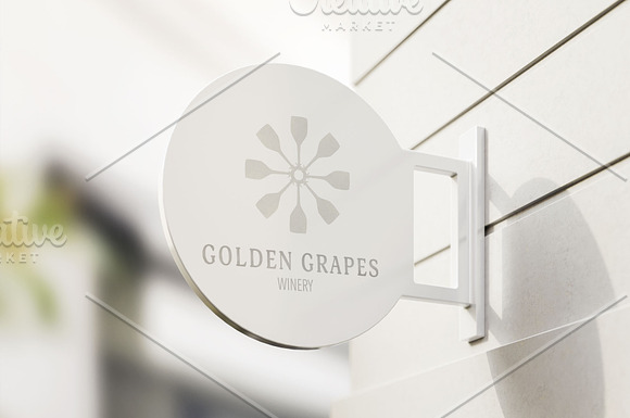 Golden Grapes Patterns in Patterns - product preview 1