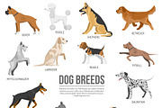 Dogs breed icons set