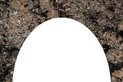 White Frame with Earth Textured Roun