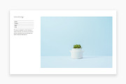 Eames - Portfolio WordPress Theme