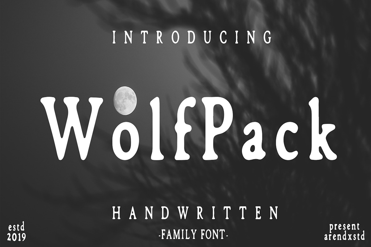 Wolfpack Handwritten Family Font in Display Fonts - product preview 8