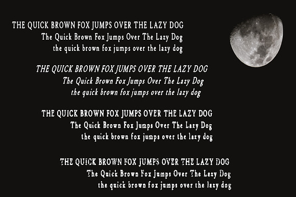 Wolfpack Handwritten Family Font in Display Fonts - product preview 2