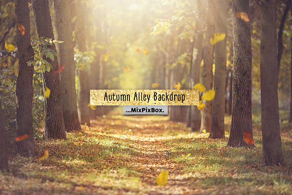 Autumn Alley Backdrop in Add-Ons - product preview 2