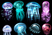 Underwater animals icon set